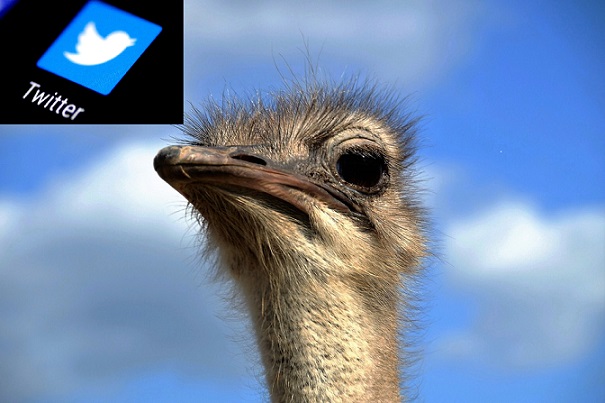 Користењето Твитер те Прави Глуп! Извинете Твитерџии ама Научна Студија го Тврди Ова!